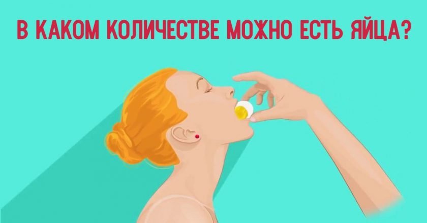 сколько яиц можно есть