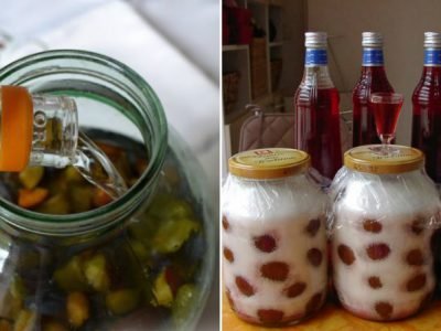Сливовая наливка в домашних условиях