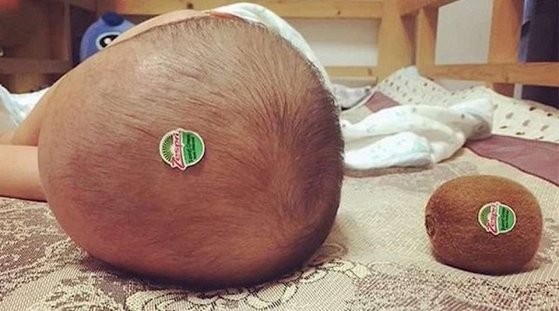 смешные снимки еды