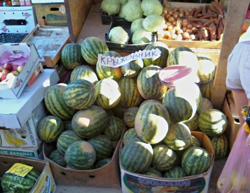 смешные объявления и надписи