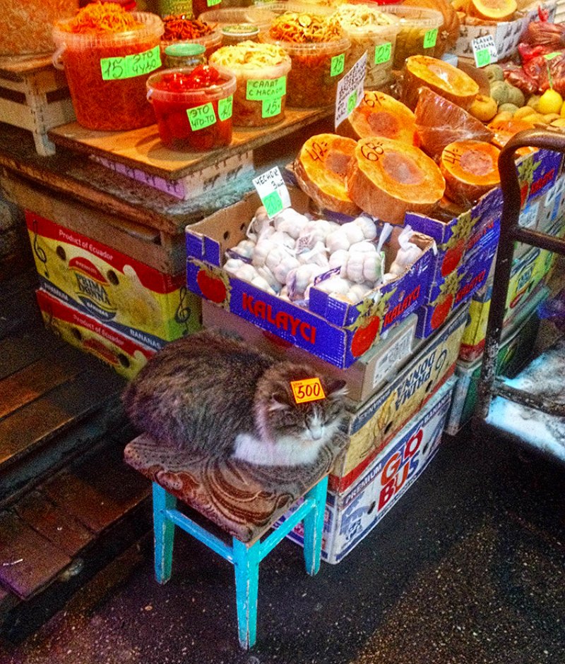 смешные объявления и надписи