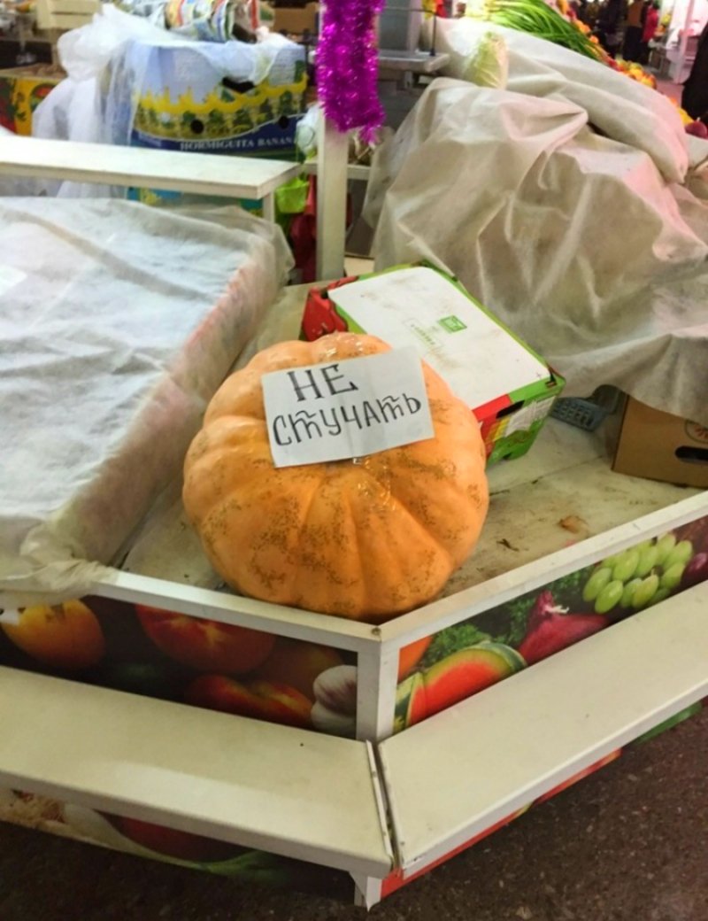 смешные объявления и надписи