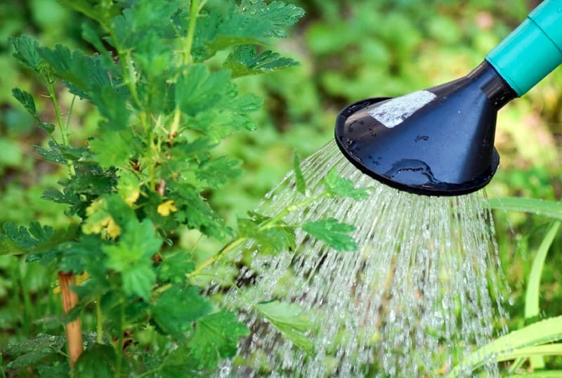 применение соды