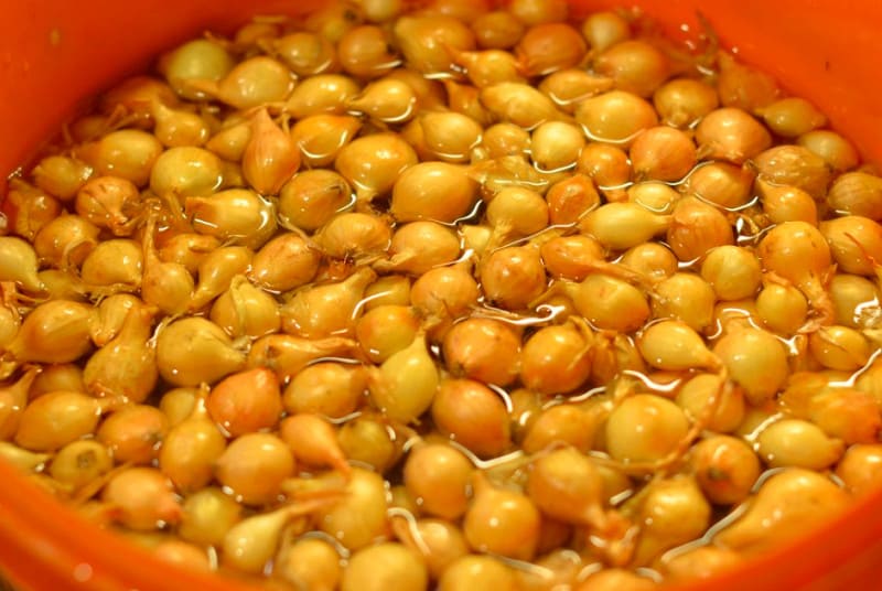 озимый чеснок