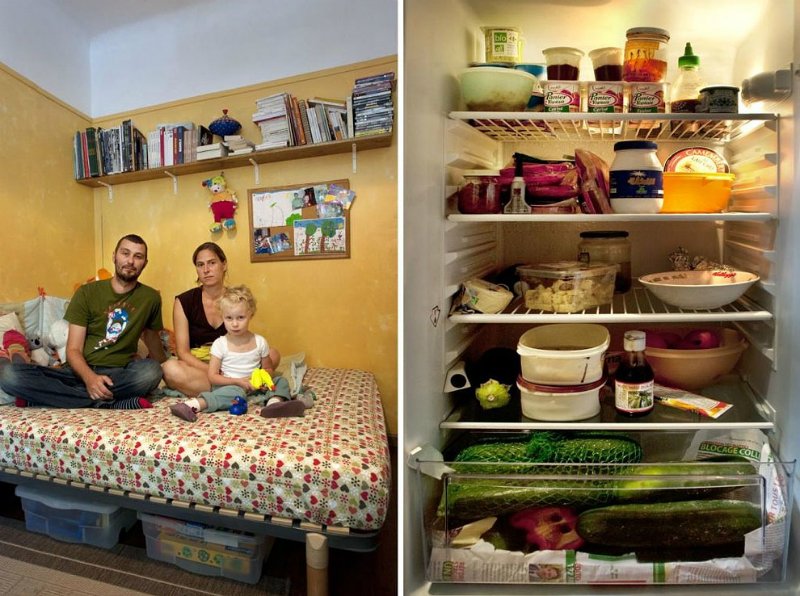 содержимое холодильника