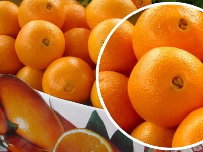 Какой сорт апельсинов самый сладкий