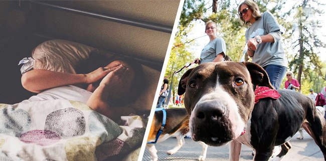 как похудеть