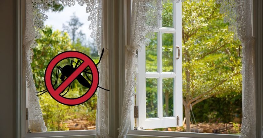 спать с открытым окном