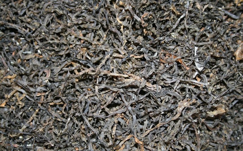 морская капуста