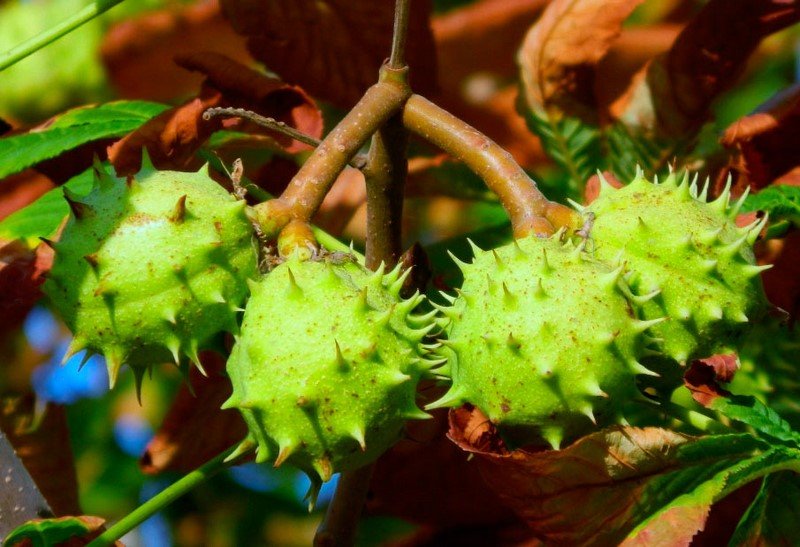 средства от заложенности носа