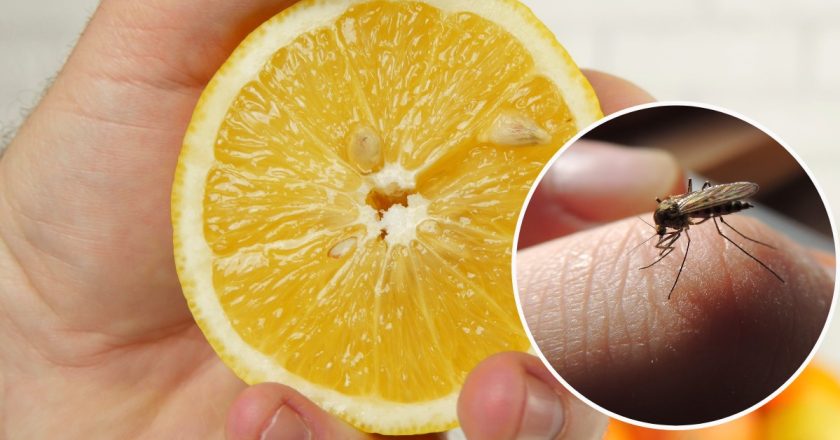 средство от комаров