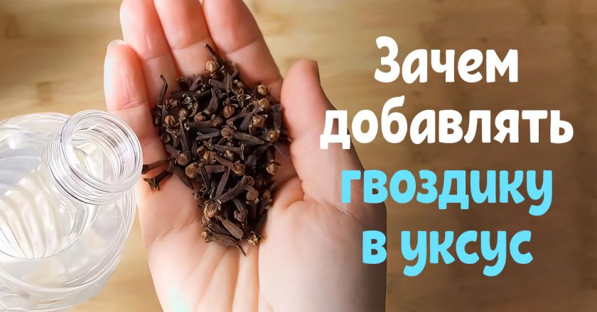 Как сделать средство от насекомых в квартире средство от насекомых в квартире