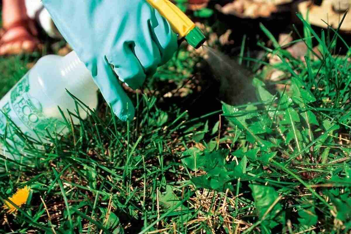  средство от сорняков 