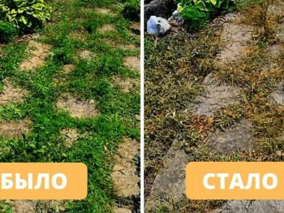 Универсальное средство от сорняков