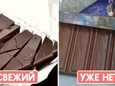 Срок годности шоколада: как понять, что сладость испортилась