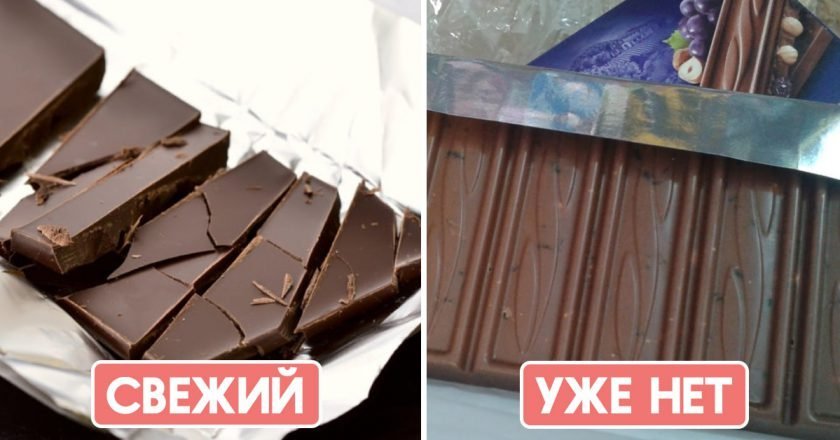 Что будет с просроченным шоколадом. Смотреть фото Что будет с просроченным шоколадом. Смотреть картинку Что будет с просроченным шоколадом. Картинка про Что будет с просроченным шоколадом. Фото Что будет с просроченным шоколадом