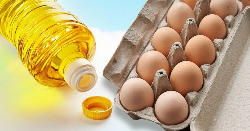 срок хранения яиц