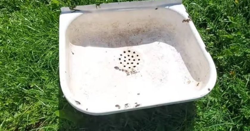 мангал из раковины