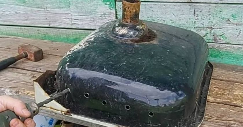 поделка из старой раковины