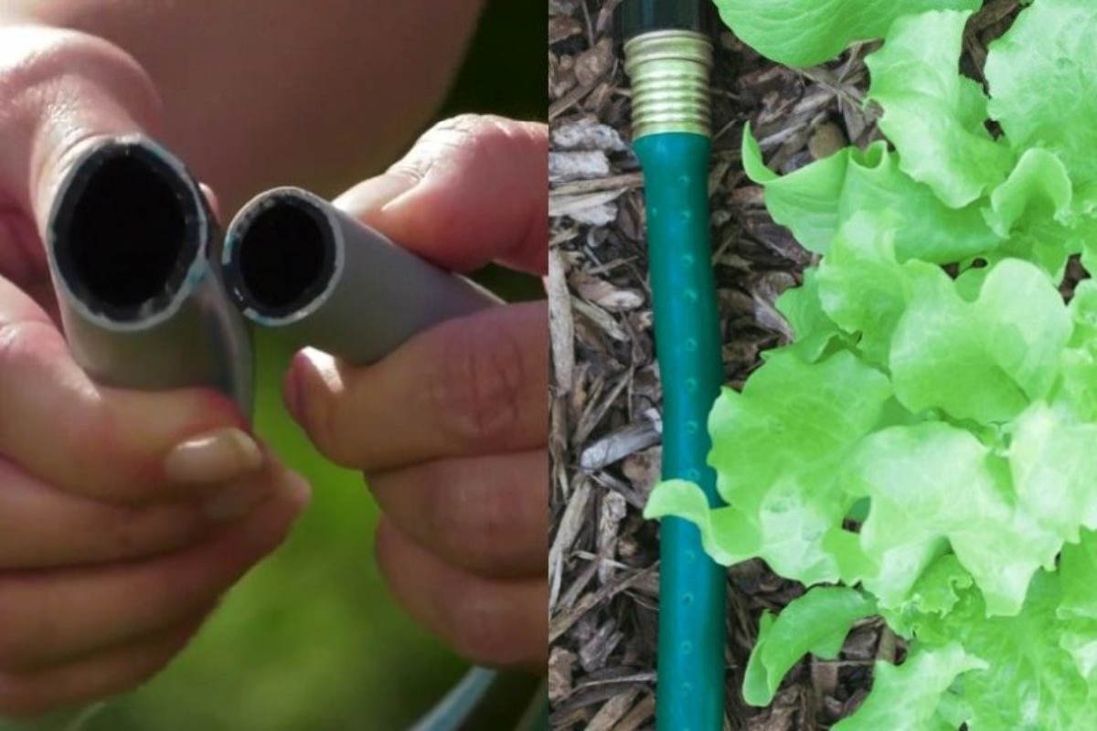 кожаное пальто