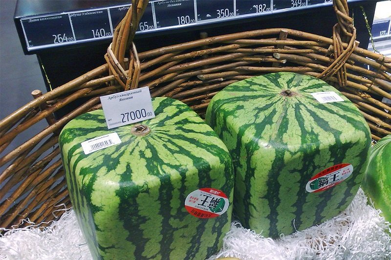 квадратные арбузы