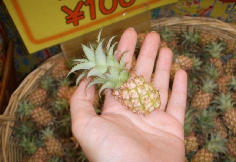 интересные продукты