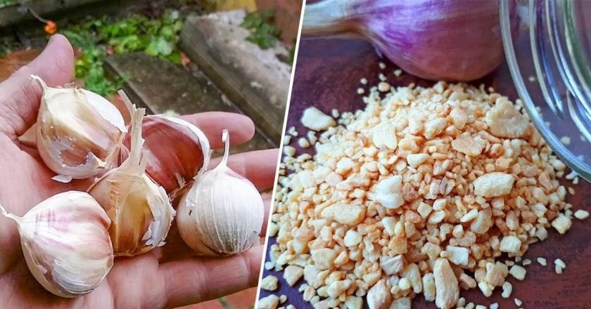 как сушить чеснок