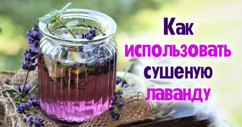 сушеная лаванда