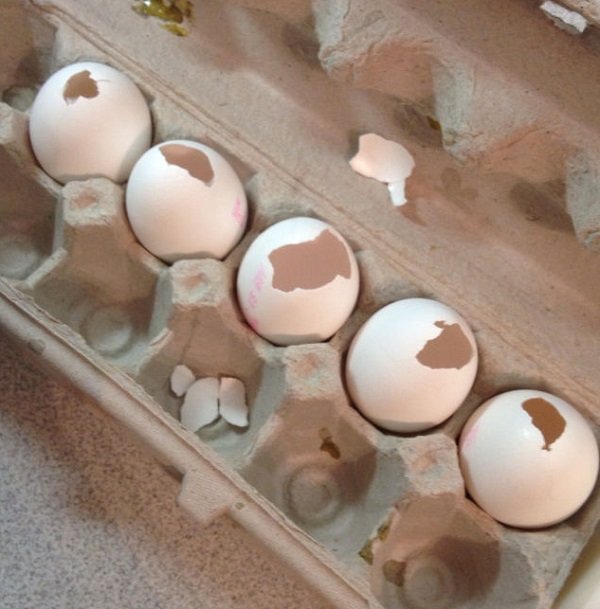 свечи в скорлупе