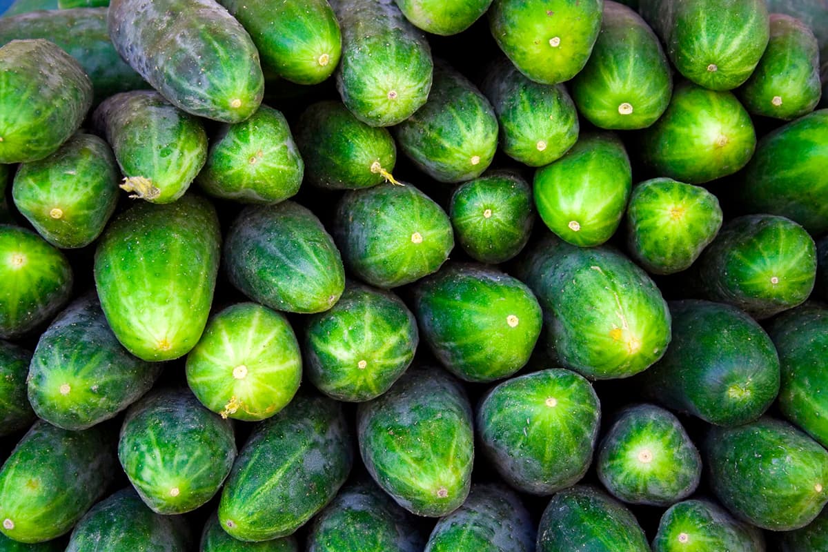 огуречный фон