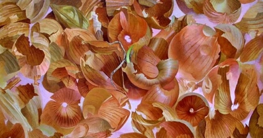 свойства луковой шелухи