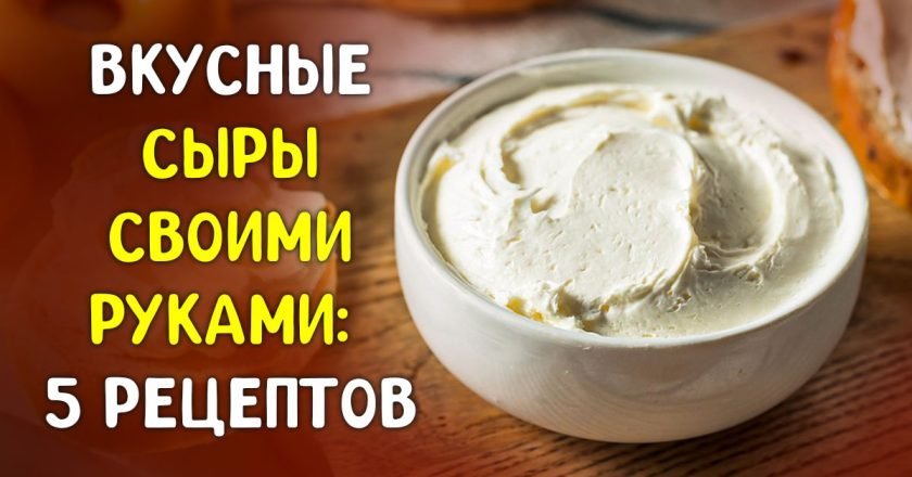 сыр в домашних условиях