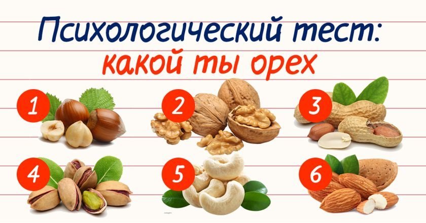 тест выбери орех