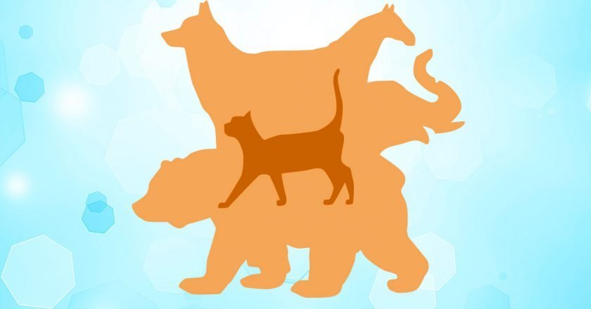 Тест на слабость характера для детей