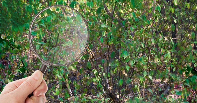 тест на внимательность с ответами