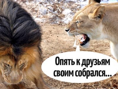 Требования женщин к мужчинам: 10 вещей, о которых нельзя просить