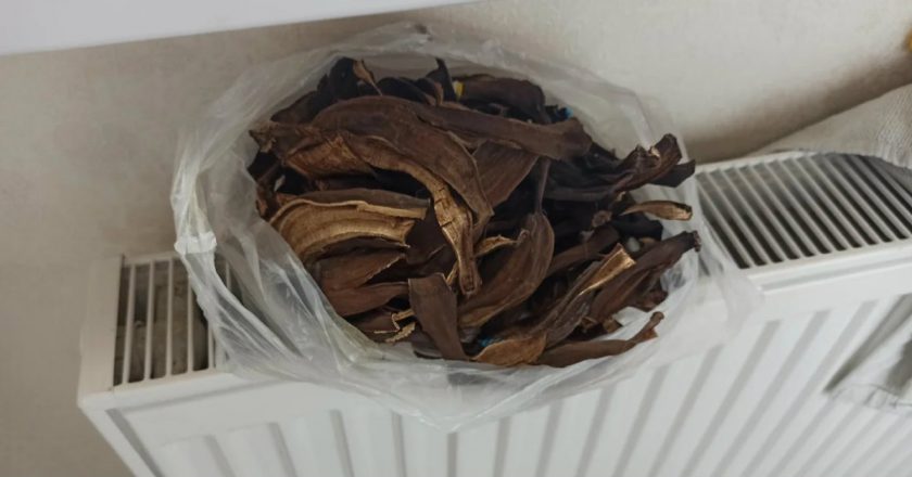 Удобрение для растений из банановой кожуры Применение банановой кожуры