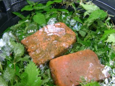 Удобрение из крапивы: польза органической подкормки