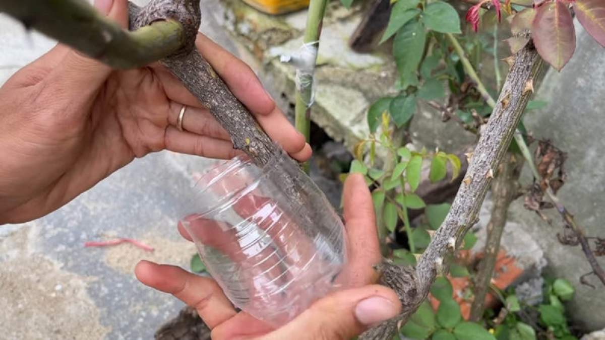  присоединение бутылки 