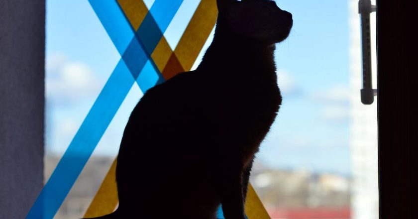 спецоперация украина