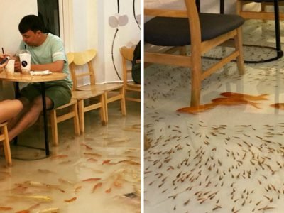 Уникальные рестораны