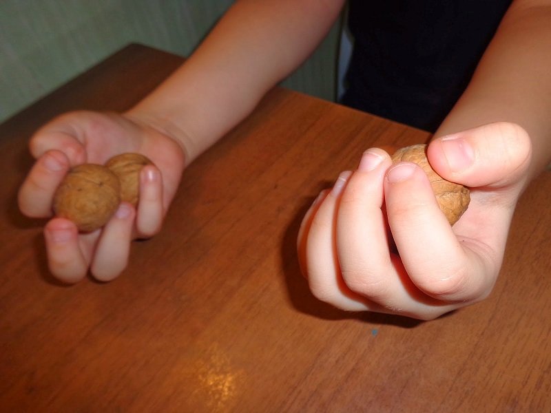 Польза каланхоэ