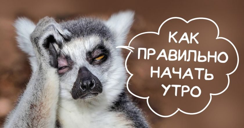 утренние привычки