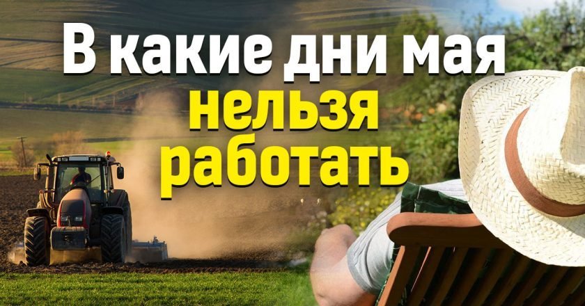 Май-2023: в какие дни нельзя работать с землей когда нельзя работать в мае