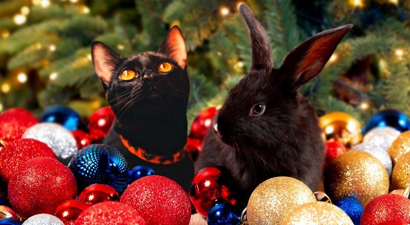 встреча Нового года