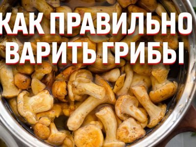 С чем варить грибы, чтобы они не потемнели и сохранили свой вкус