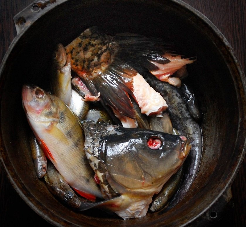 как варить рыбу
