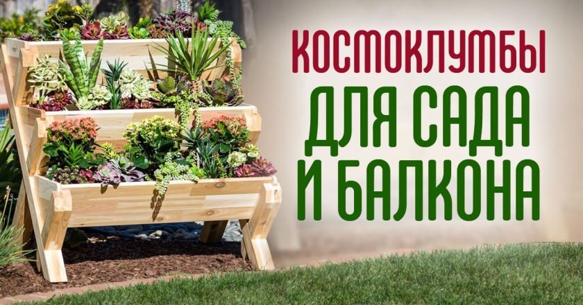 Calaméo - «Дом» Семейный деловой журнал 12
