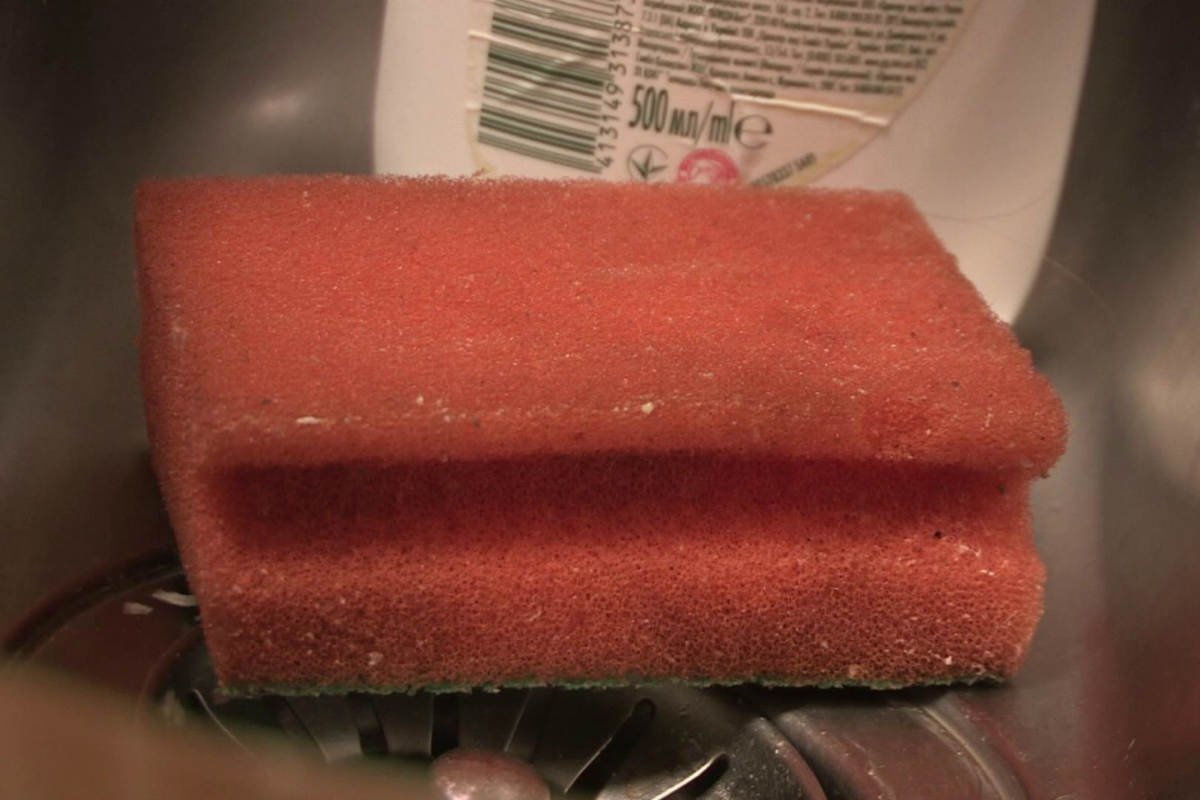 грязная губка