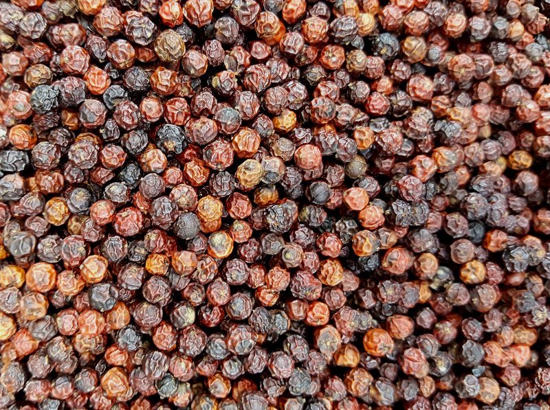 сорта и виды перца